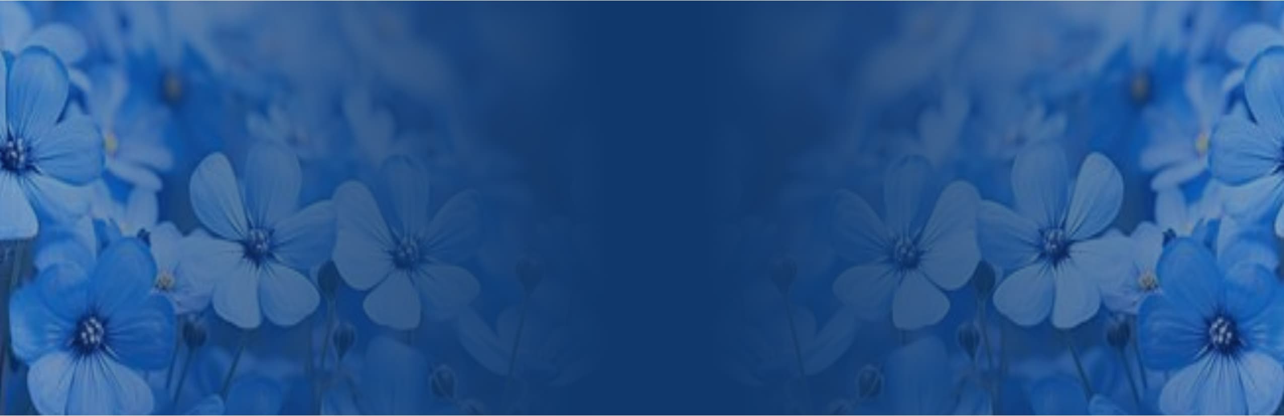 Investment Background